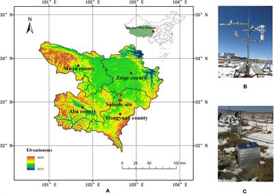 Extrapolation and Uncertainty Evaluation of Carbon Dioxide and Methane Emissions in the Qinghai-Tibetan Plateau Wetlands Since the 1960s